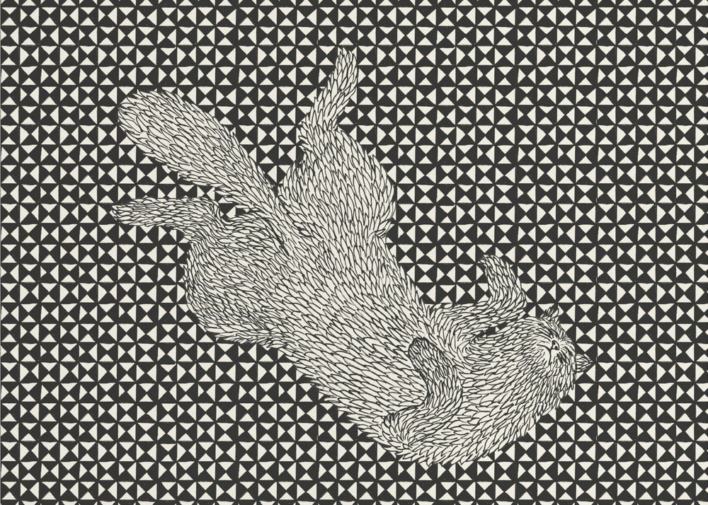 Slapende kat VII | Canvas