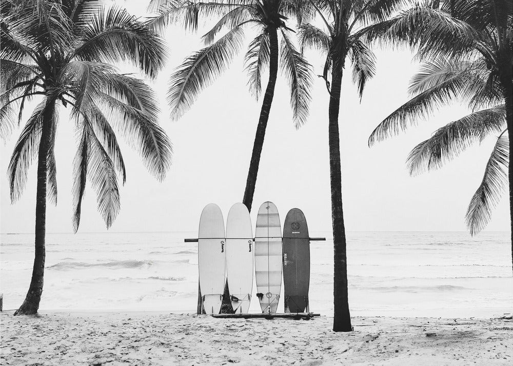 De Boards | Poster