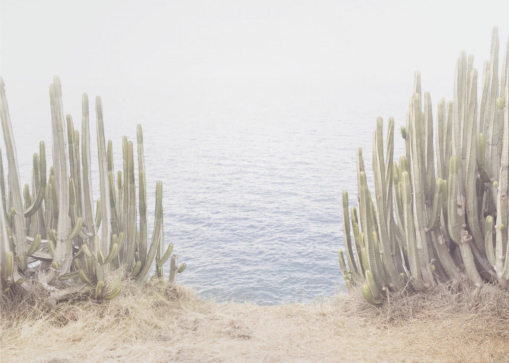 Oceaancactus | Canvas