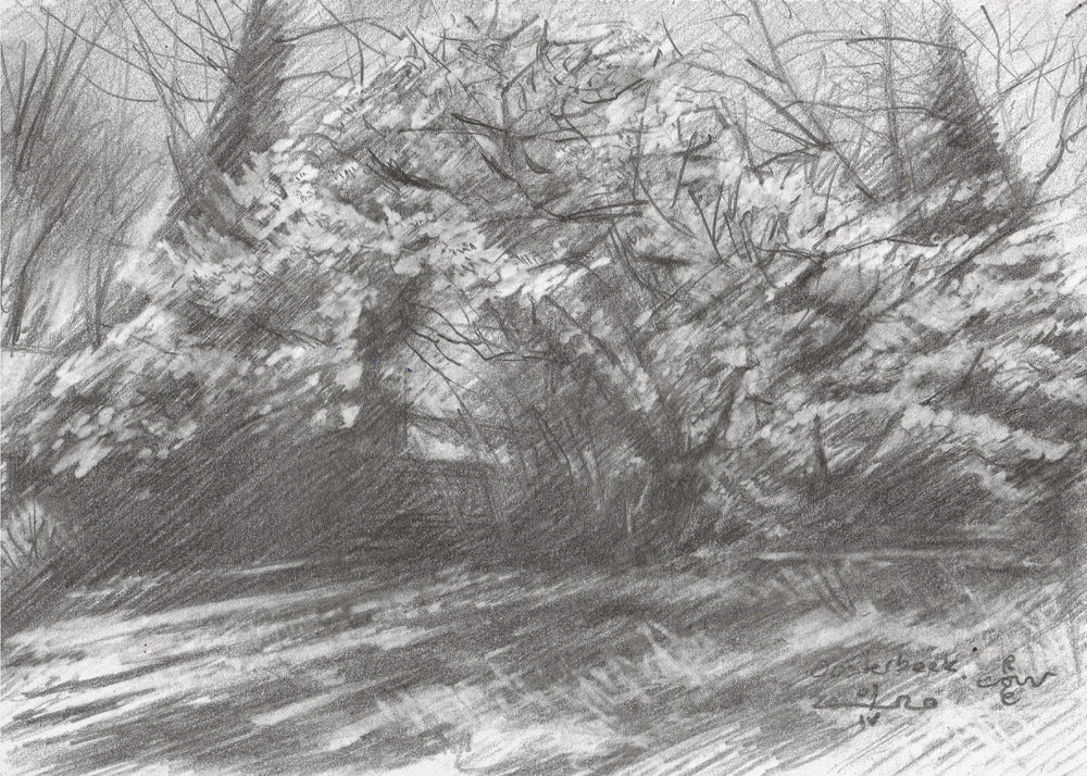 Landgoed 'Oosterbeek' - 07-04-20 | Canvas