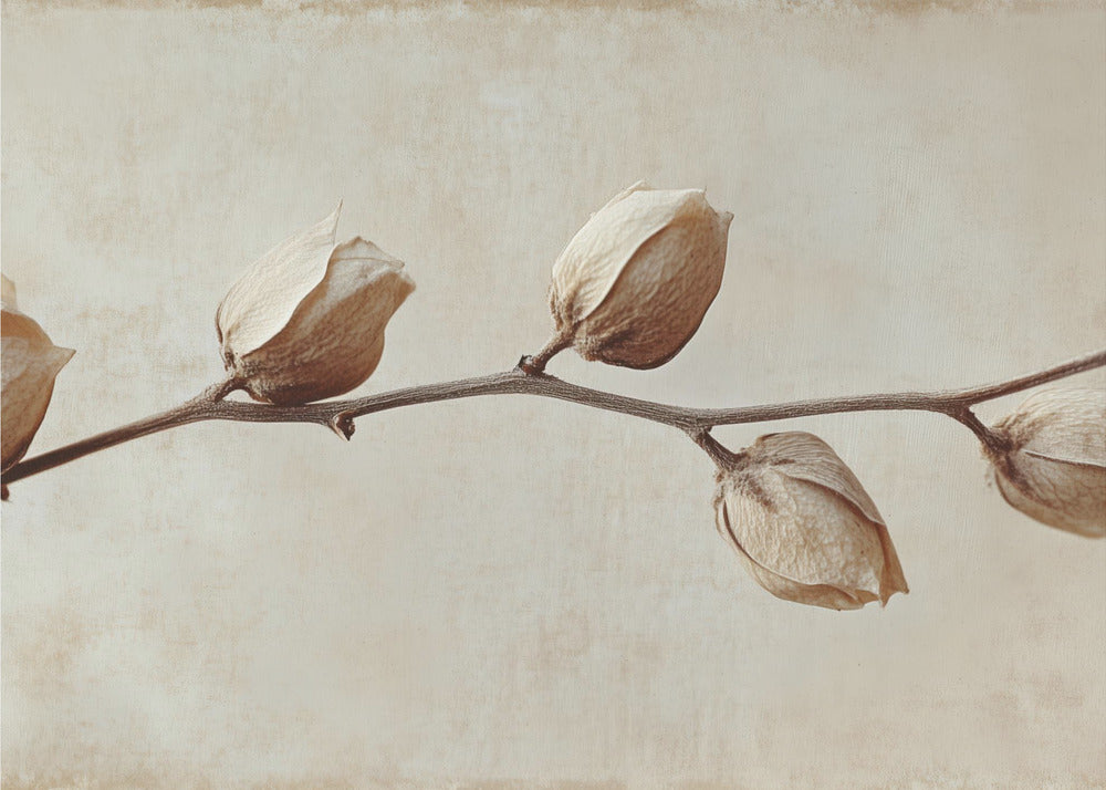 Vervaagde elegantie | Canvas