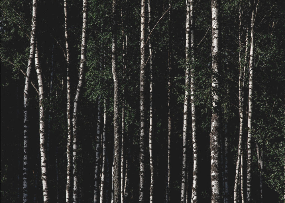 Ergens in Zweden 4 | Canvas