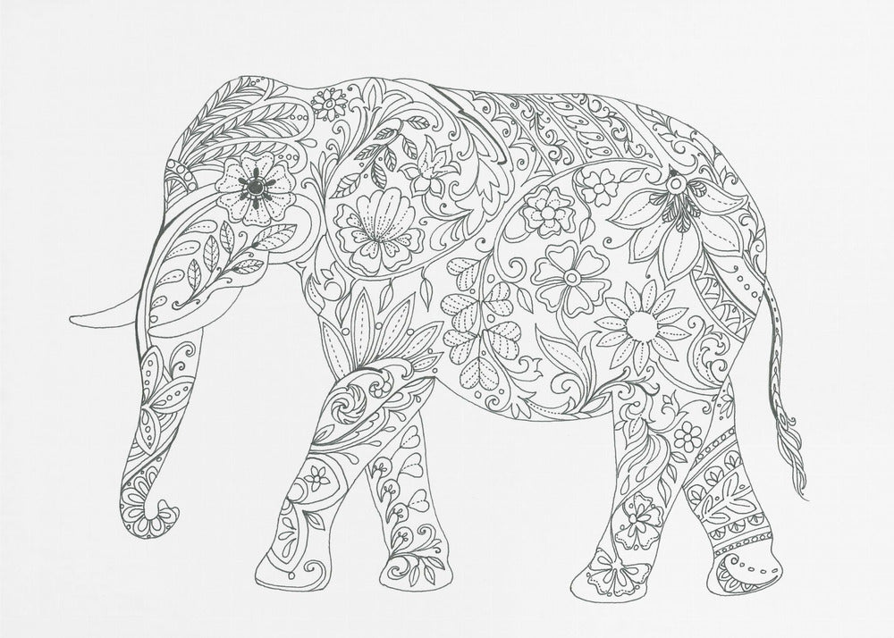 Bloemenolifant | Canvas