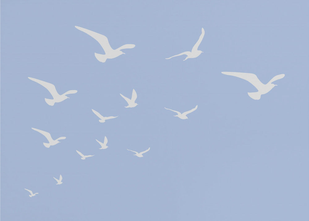 Meeuwen Blauwe Achtergrond | Poster
