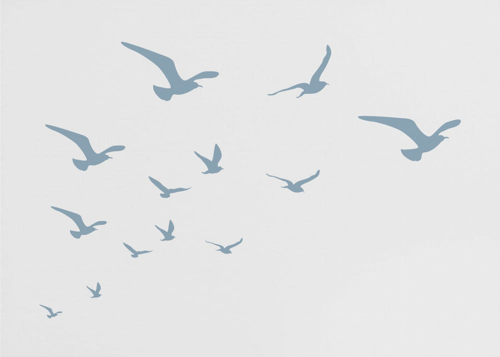 Meeuwen Witte Achtergrond | Poster