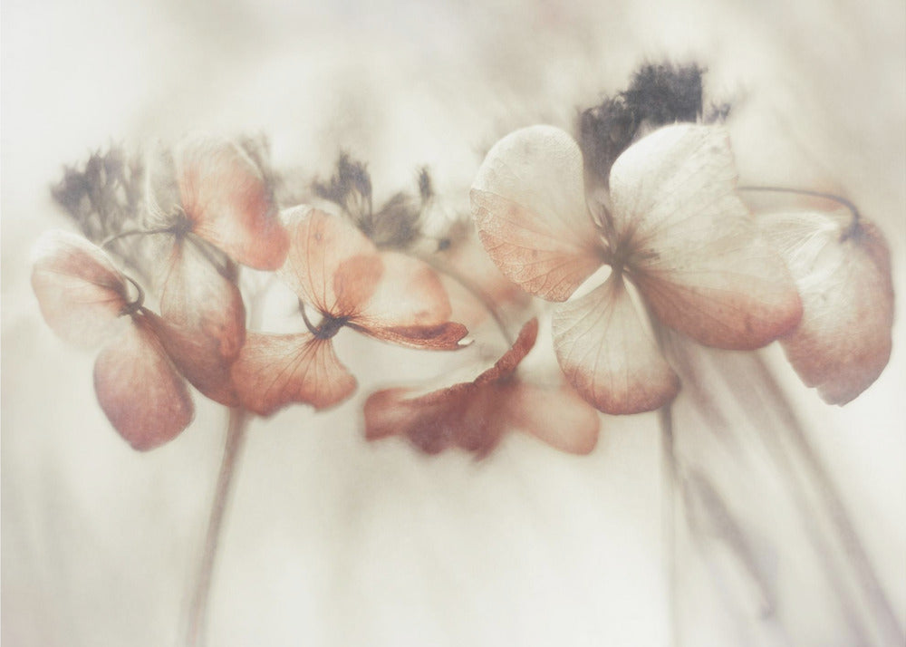 Bloeiend | Canvas
