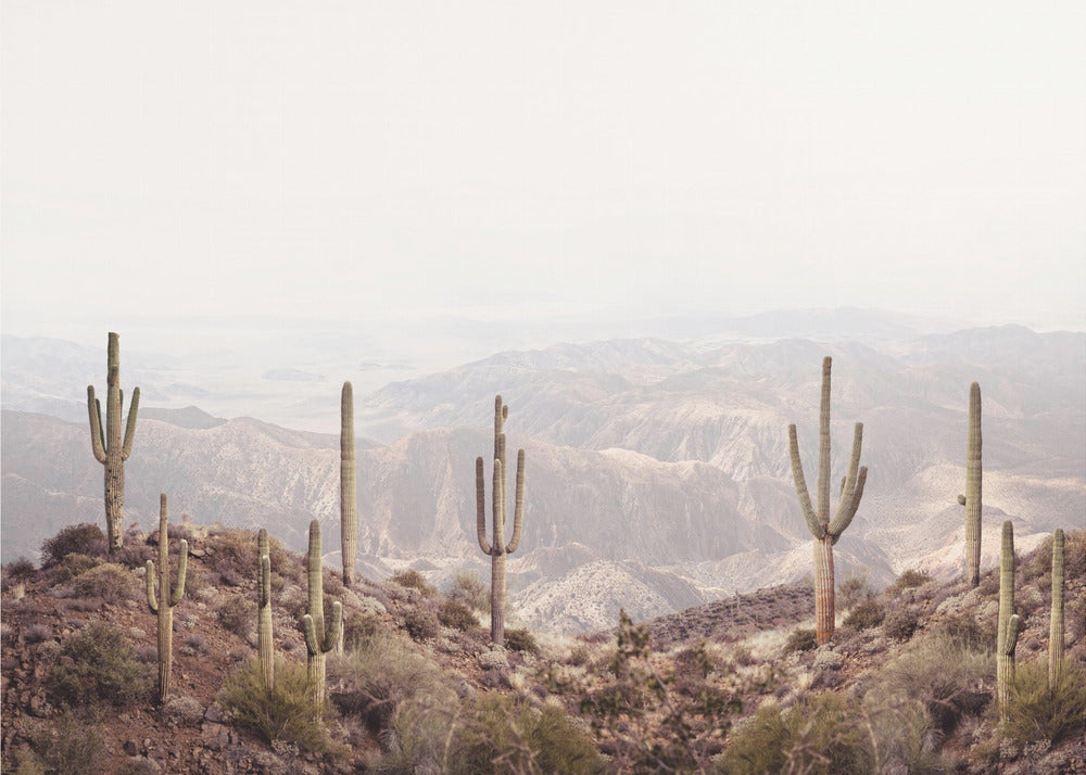 Arizona Vallei | Poster