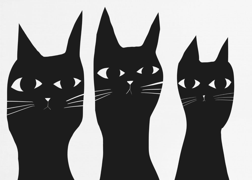 Drie zwarte katten kijken kat | Canvas