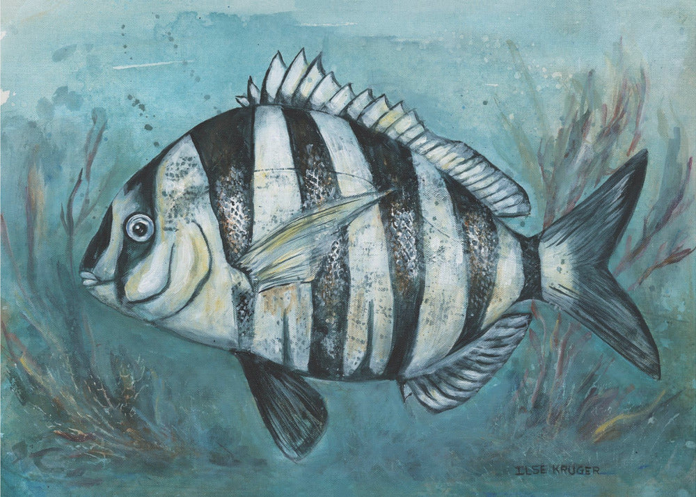 Gestreepte Zee Schoonheid | Canvas