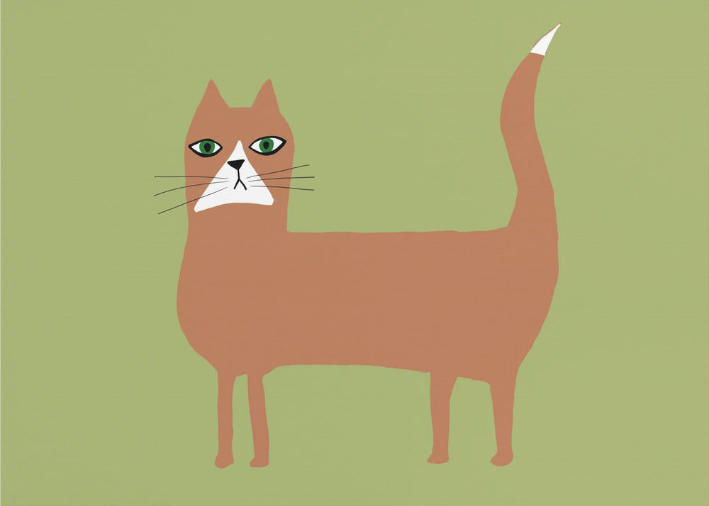 Kat gember oranje | Canvas