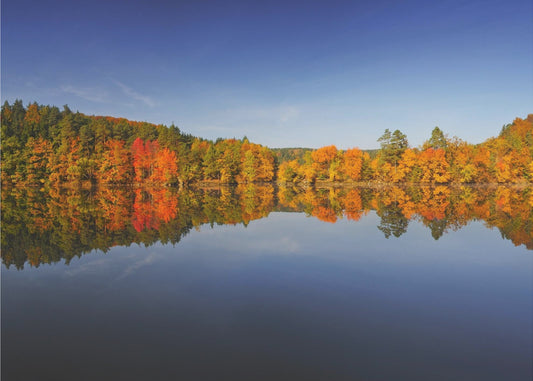 Herfst | Canvas