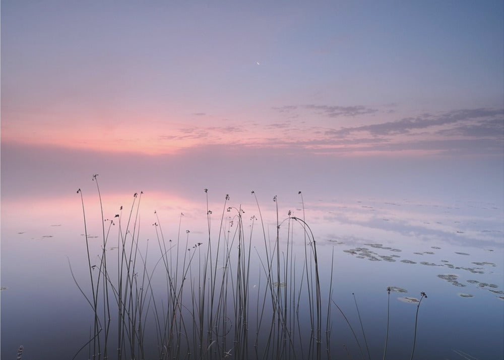 Meer | Canvas