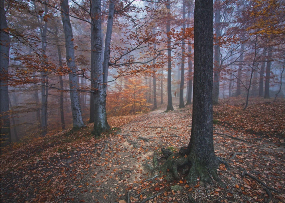 Ik was verdwaald, ik werd gevonden | Canvas