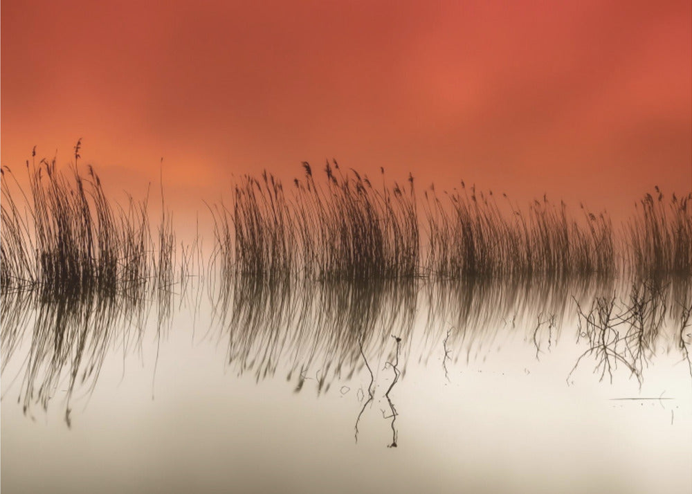 sereniteit | Canvas