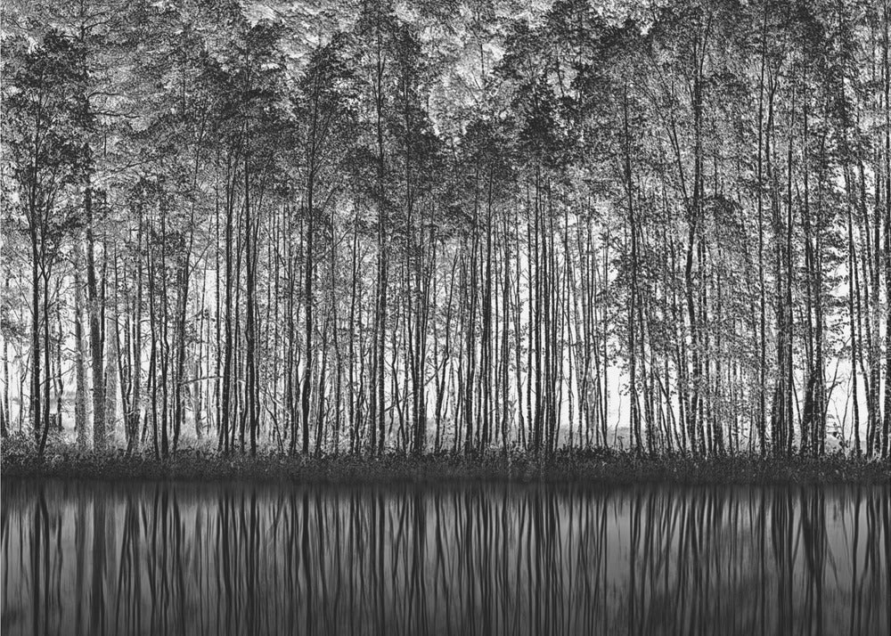 Pointillisme Natuur | Behang