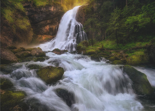 Lente-overstroming | Canvas