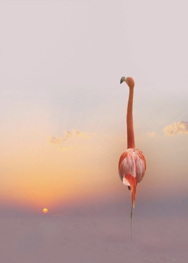 zonsondergang ... | Canvas