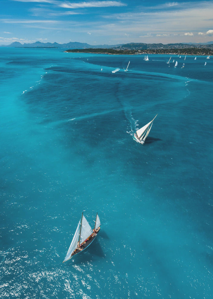 Boven de race | Poster