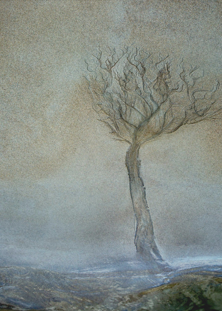 Eenzame boom | Canvas