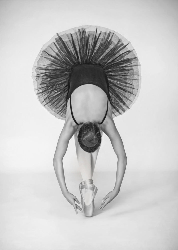 Ballettechniek | Poster