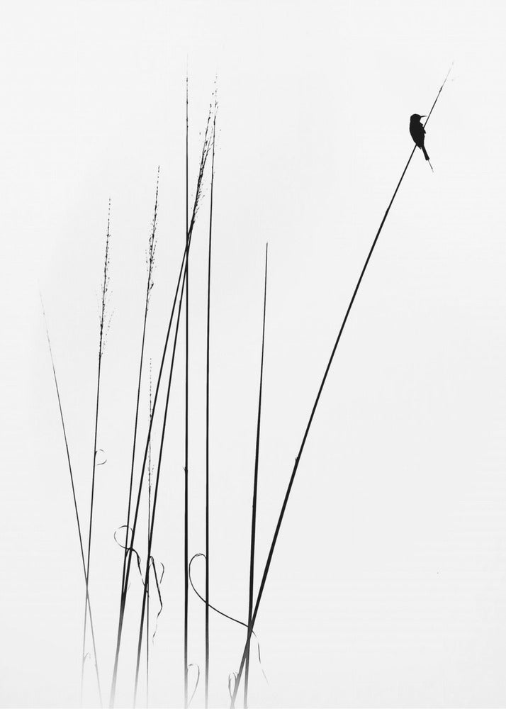 een sabbatical | Canvas