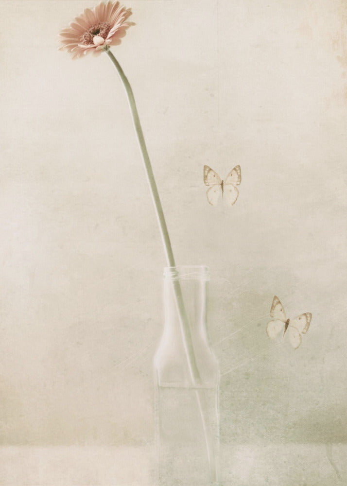Mevrouw Daisy | Canvas