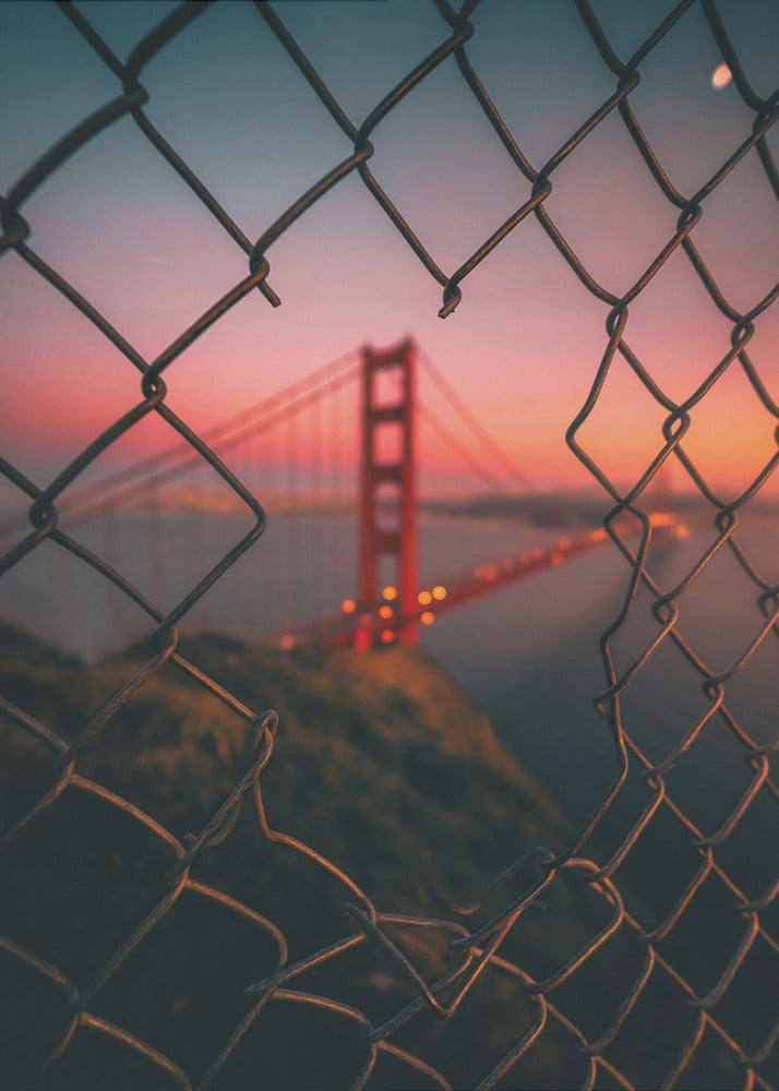 Golden Gate Gekooid | Poster