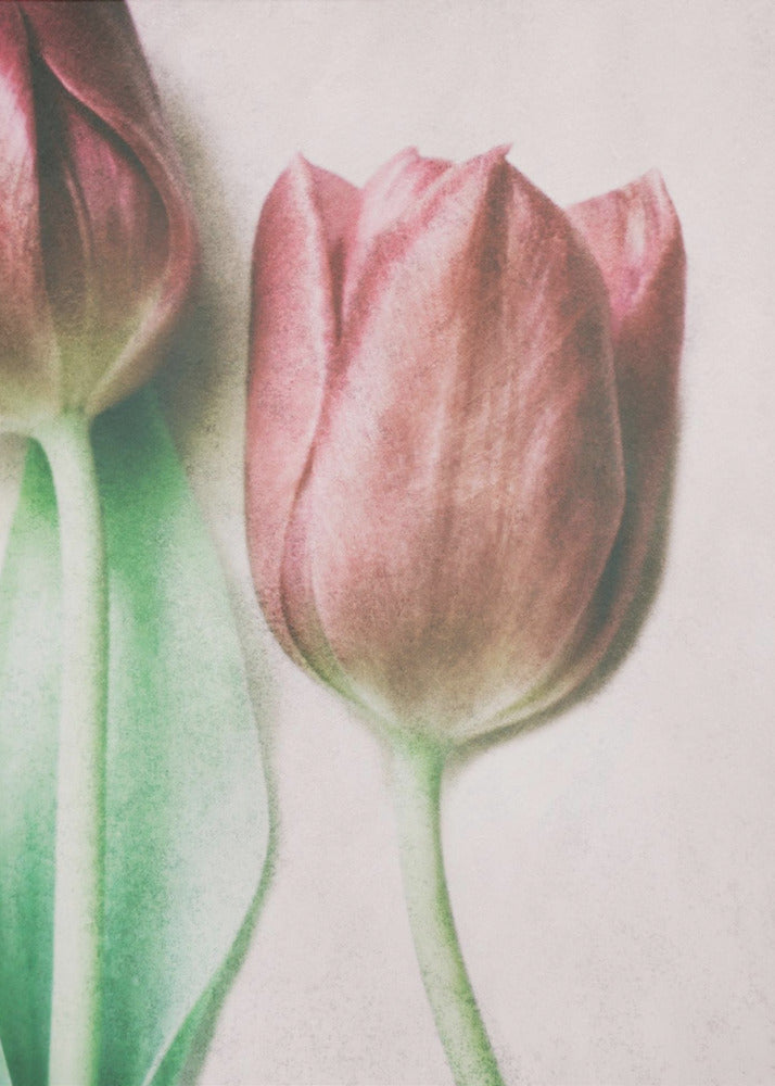 De Lenteliefhebbers | Canvas