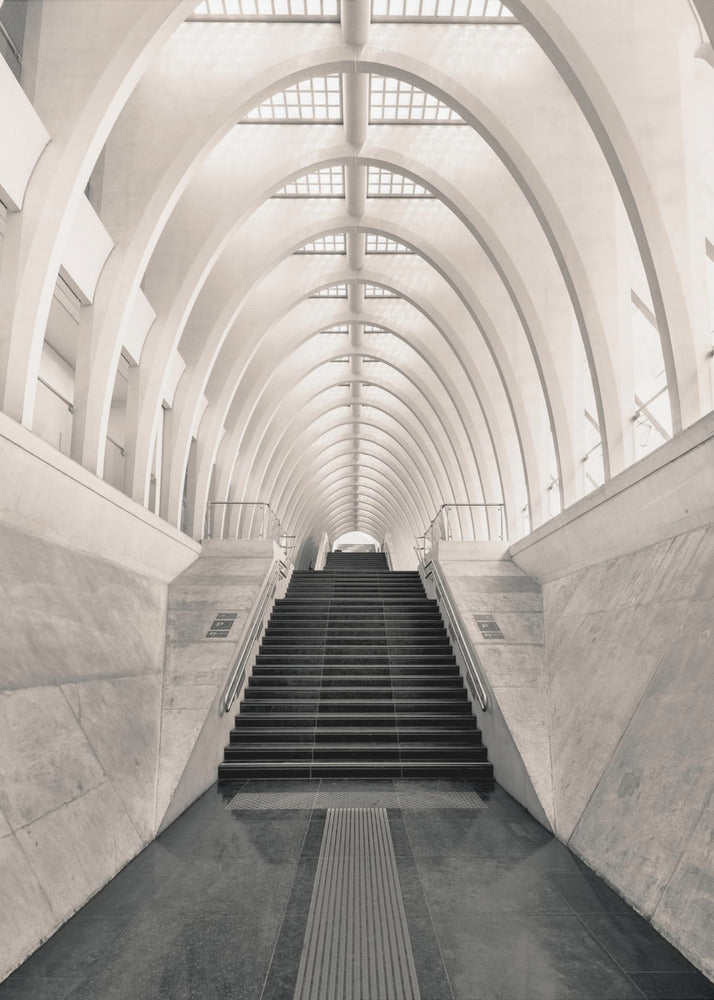 Binnen Calatrava | Canvas