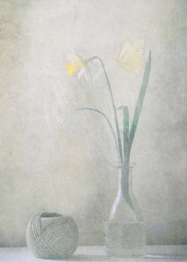 Lente in huis | Canvas