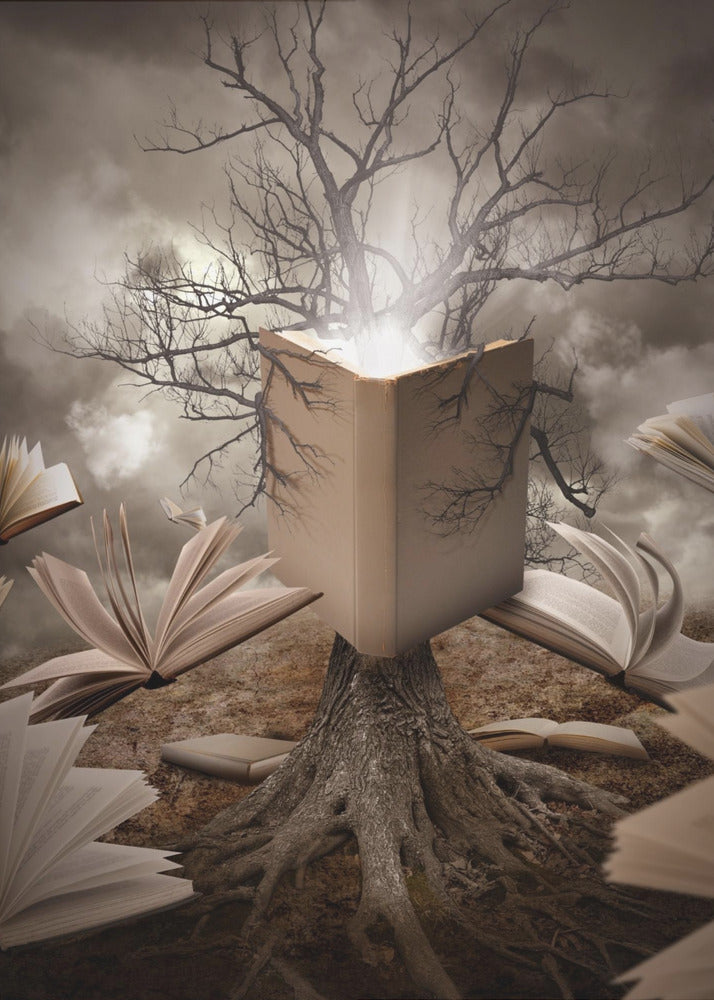 Oude boom leesverhaalboek | Canvas