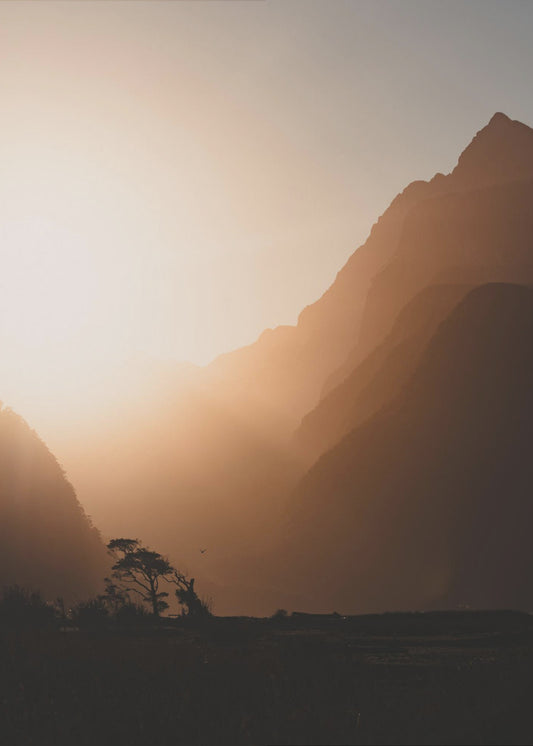 Woede, woede tegen het sterven van het licht. | Canvas