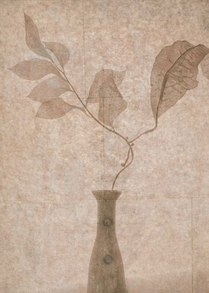 Still Life | Canvas