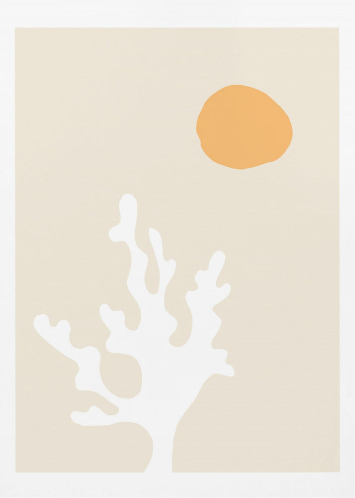 Zeewier in de zon | Poster