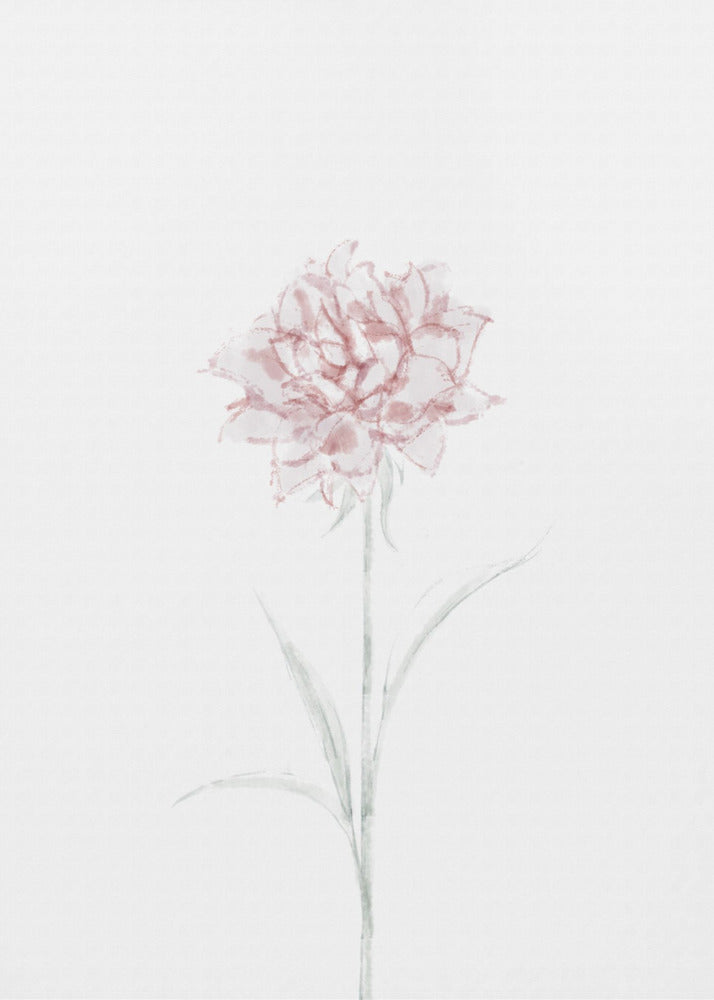 Pioenroos 02 | Canvas