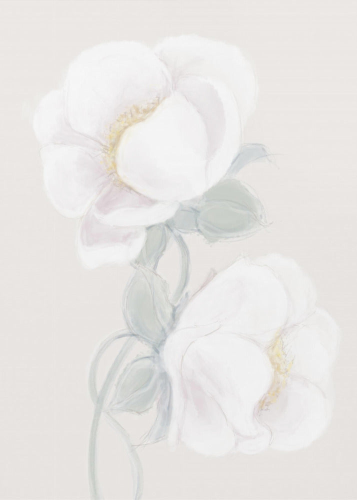 Weelderige pioenroos | Canvas