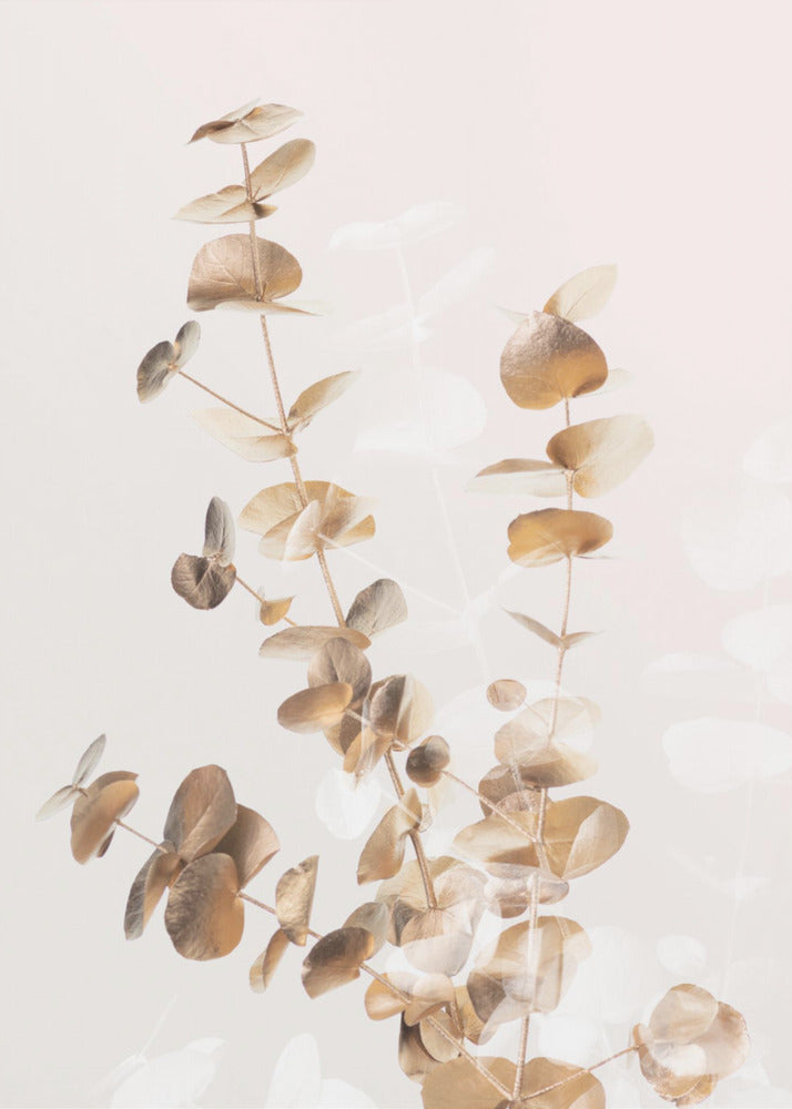 Eucalyptus Creatief Goud 03 | Poster