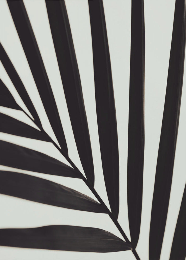 Grafisch palmblad_1 | Canvas