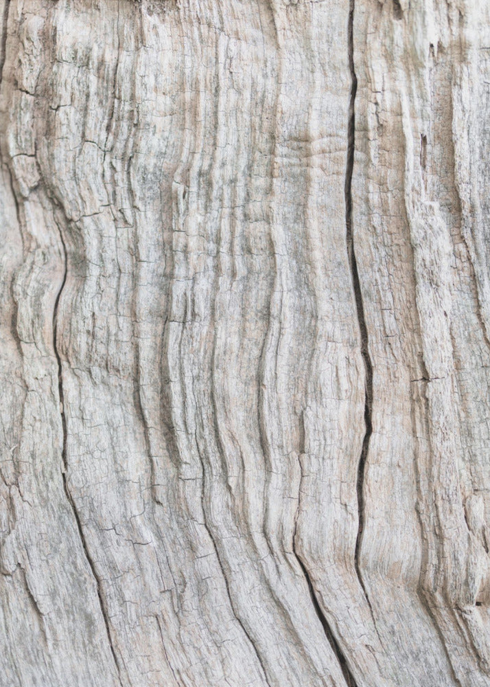 Houtpatroon | Canvas