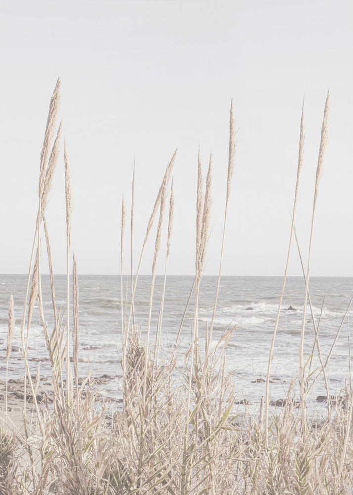 Strand_Vass_001 | Canvas