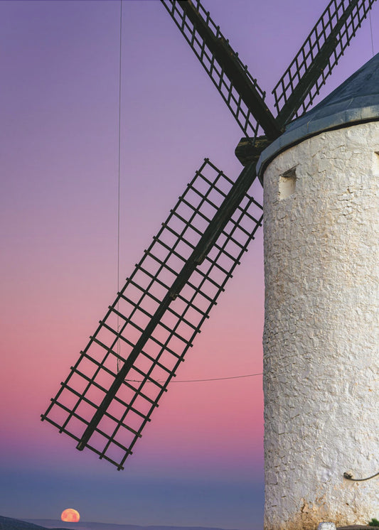 DON QUIXOTE'S DREAM | Canvas