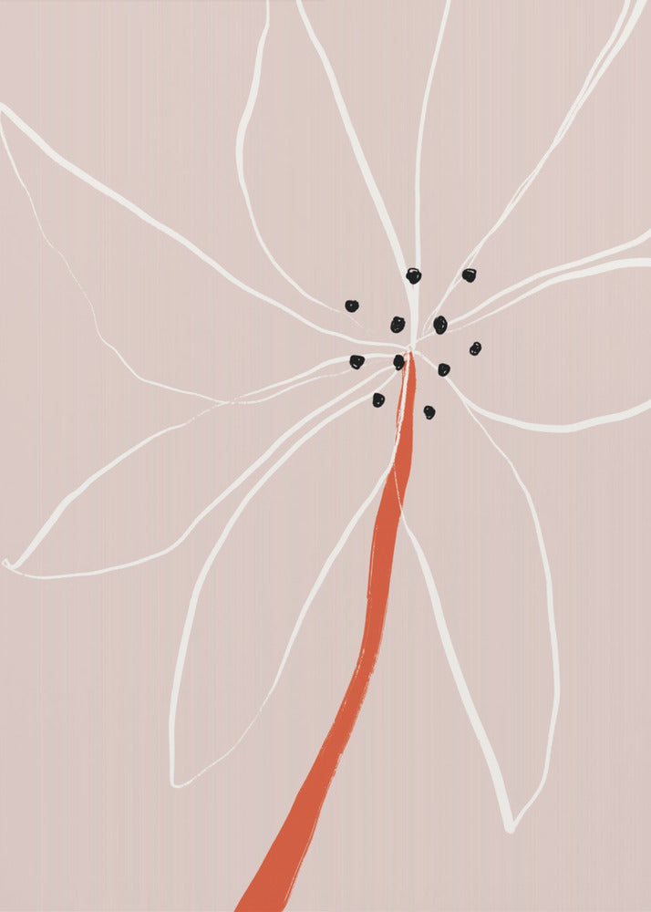 Delicate abstracte bloem met witte bloemblaadjes | Canvas