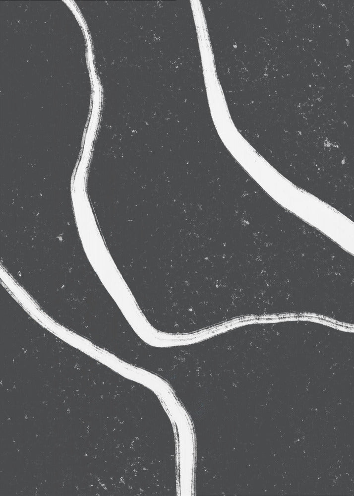Monochrome paden | Poster