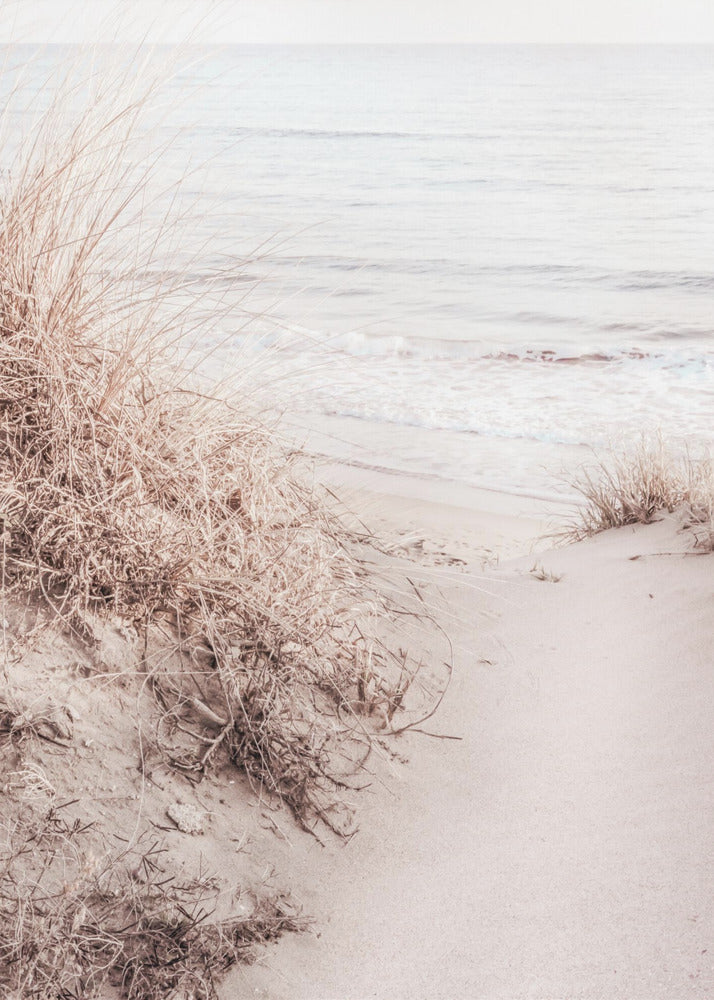 Strand_010 | Canvas