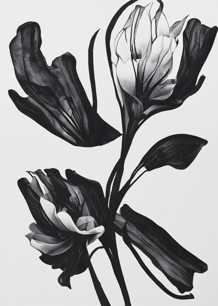 Zwarte bloem | Poster