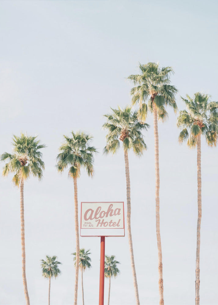 Aloha Hotel | Canvas