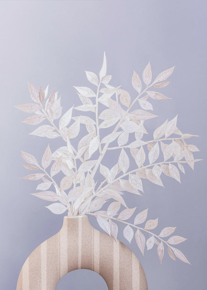 Ruscus | Canvas