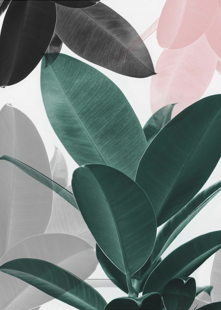 Bladspel | Canvas