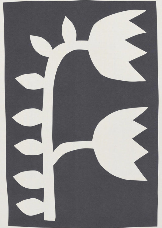 Zwarte Tulpen #2 | Poster