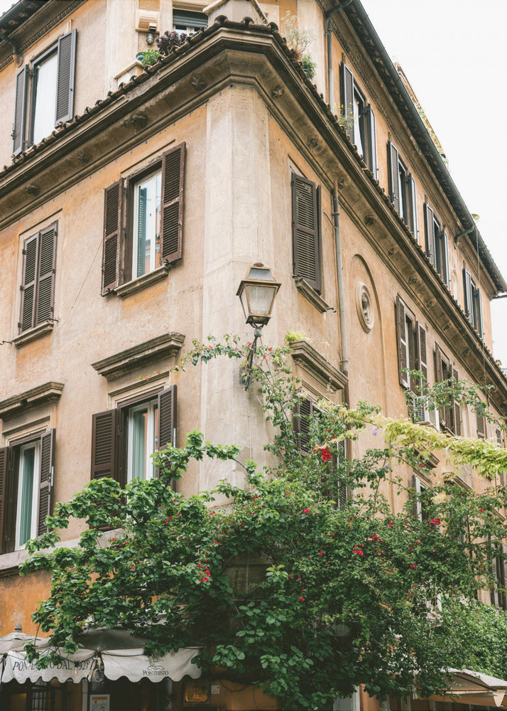 Botanische Trastevere Rome || | Poster